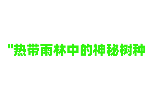 "热带雨林中的神秘树种——如何识别它们的独特标志？"